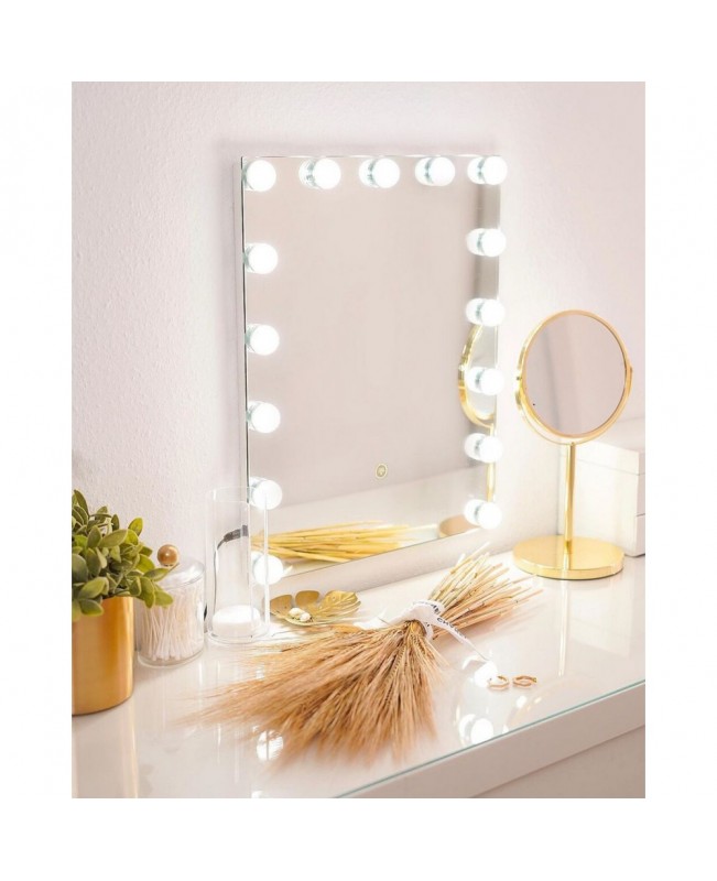 Metal LED Wall Vanity Mirror 40 x 50 cm