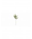 32 inches cider eucalyptus stem, white c...