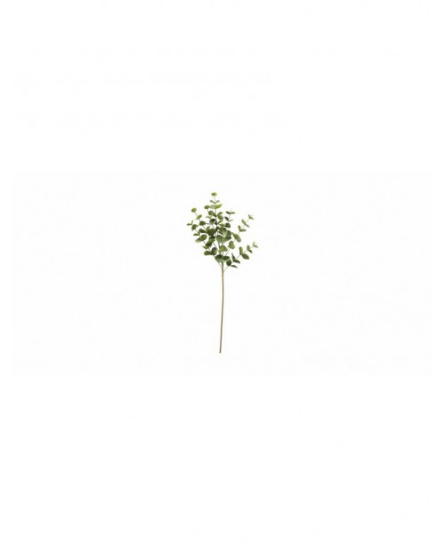 32 inches cider eucalyptus stem, white c...