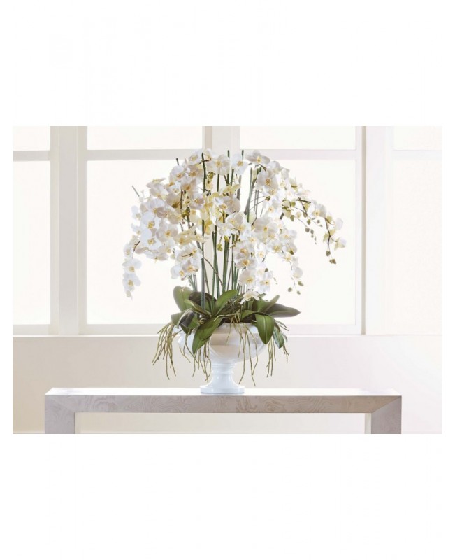 Gorgeous white phalaenopsis in a pedestal bowl