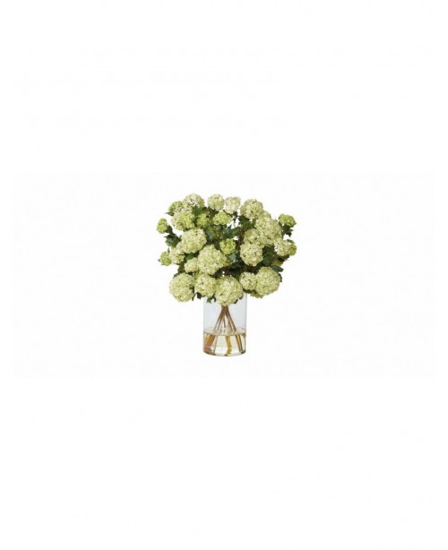 Beautiful green snowball hydrangea