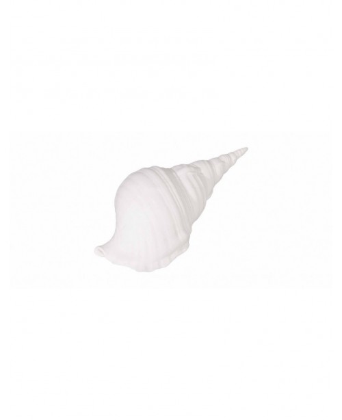 White bone china shell