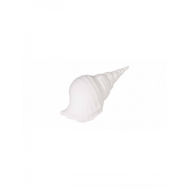 White bone china shell