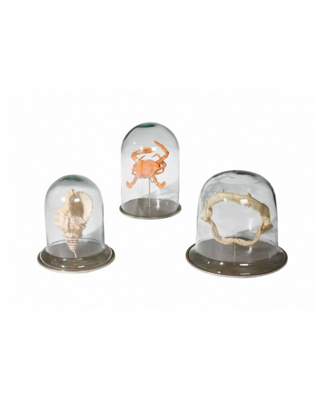 Transparent glass bell-shaped small crab