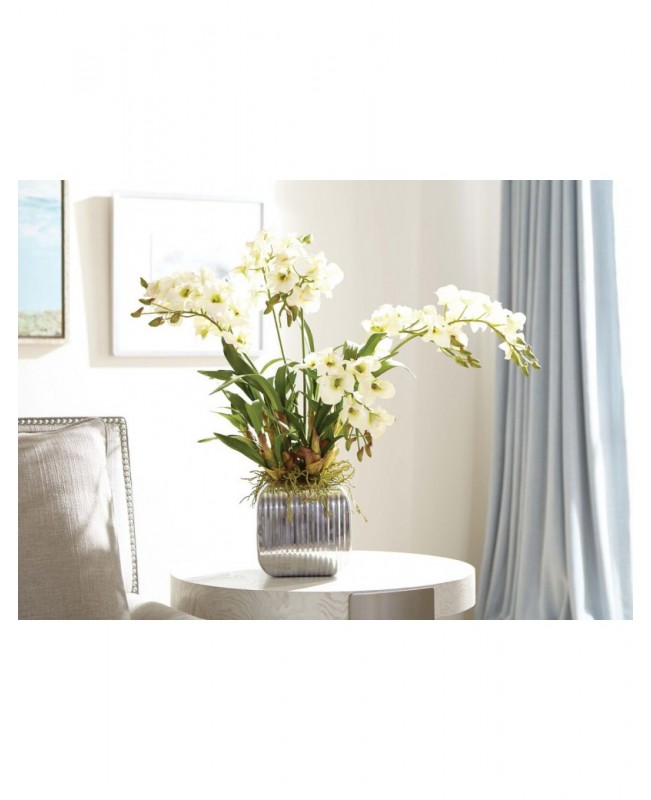 Orchids in silver metal vase