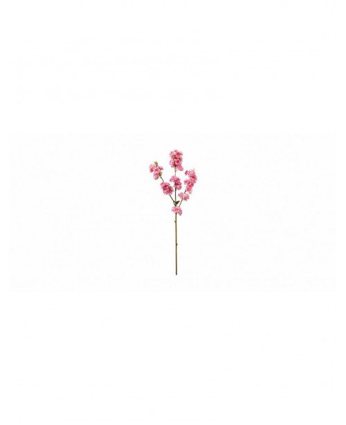 Beautiful 32-inch sakura 2-piece set