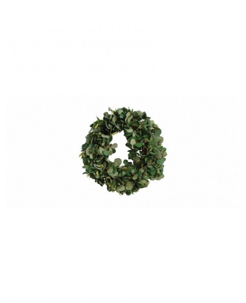 Beautiful 24-inch Aspen and Olive Wreath