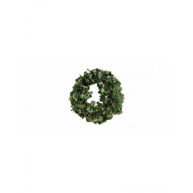 Beautiful 24-inch Aspen and Olive Wreath