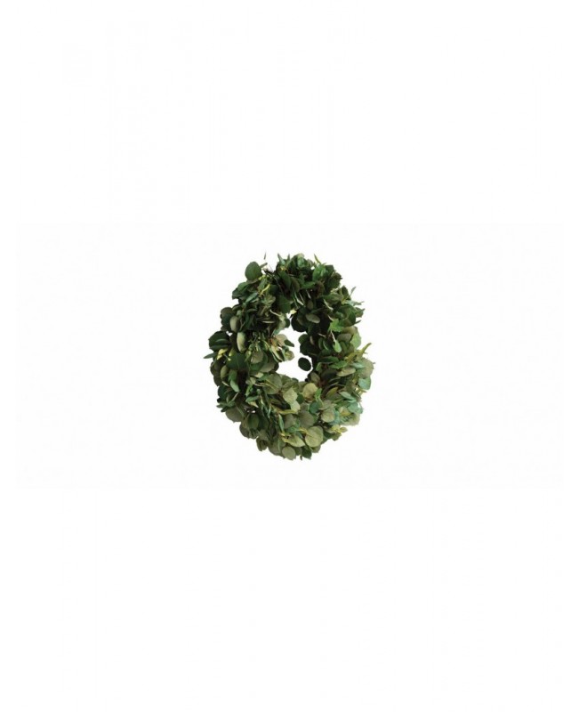 Beautiful 24-inch Aspen and Olive Wreath