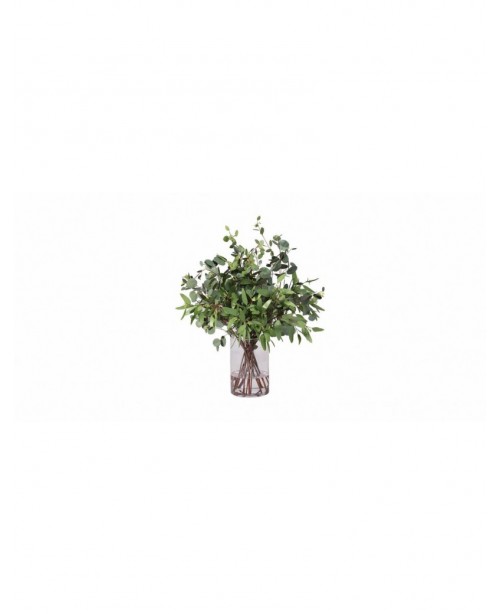 Eucalyptus in a stylish vase