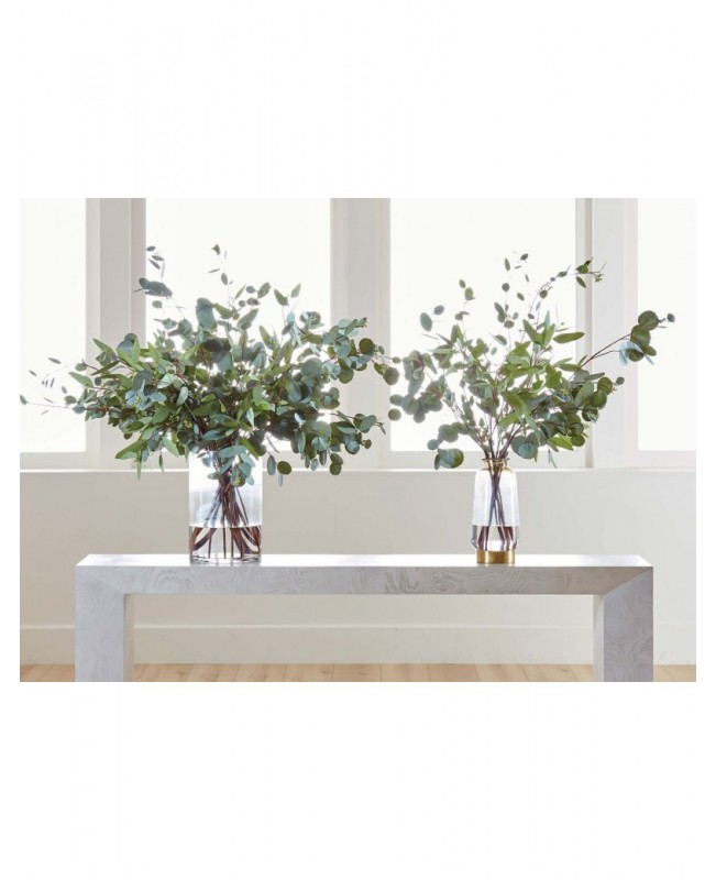 Eucalyptus in a stylish vase